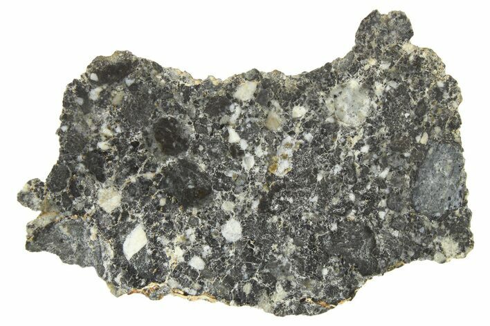 Polished Lunar Meteorite Slice ( g) - Bechar #266500